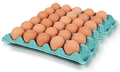 OVOS
