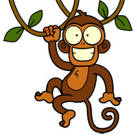 macaco