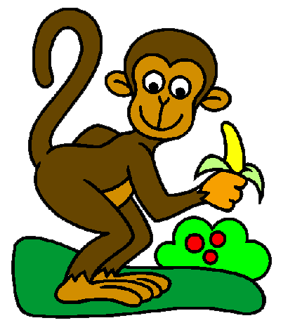 chimpanze