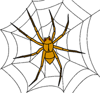 aranha