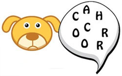 cachorro