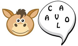 cavalo