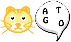 gato