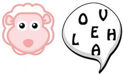 ovelha