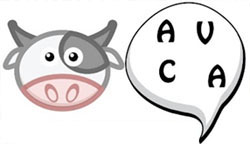 vaca