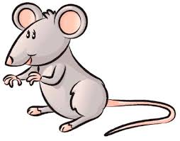 rato