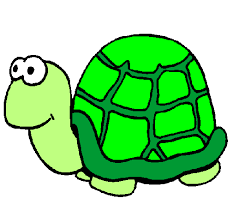 tartaruga