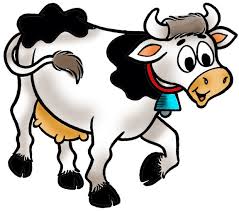 vaca