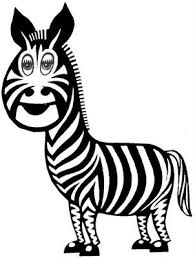 zebra