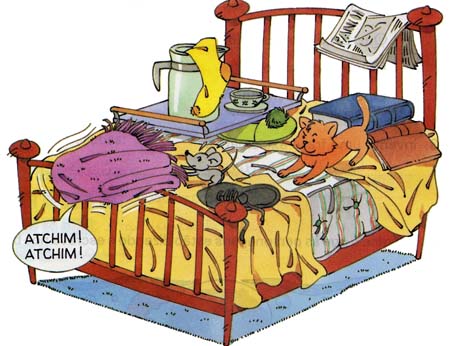cama