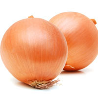 cebola