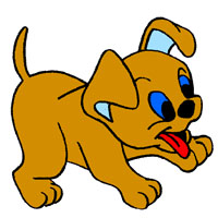 CACHORRO
