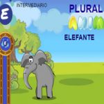 Animais – Plural