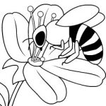 Colorir abelhas II