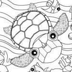 Colorir tartarugas