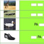 Completar Sílabas Faltantes + Alfabeto