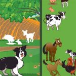 Encaixe os animais