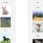 Ligar animais