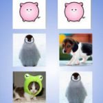 Memória dos animais