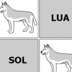 Memória de palavras
