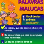 Palavras malucas