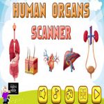 Scanner Humano (inglês)