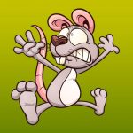 Caça ao rato